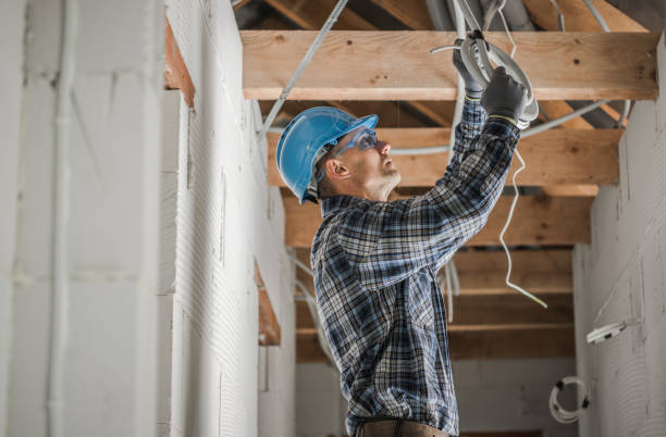 Best Affordable Electrician  in Maquoketa, IA